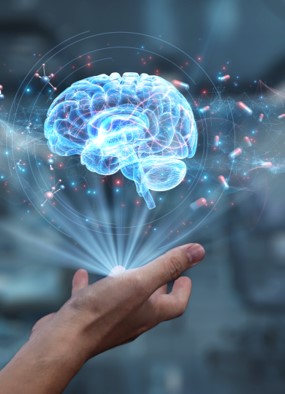 Brain hologram 