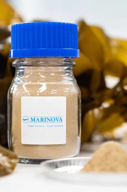Jar of Marinova powder