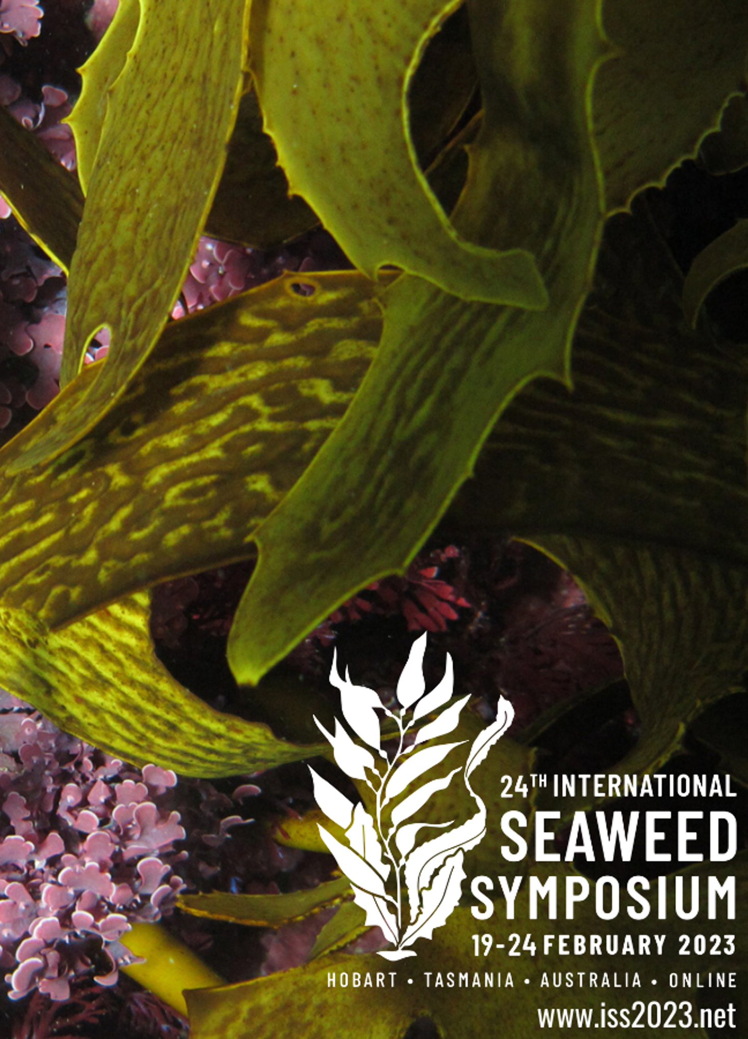 24th International Seaweed Symposium_2