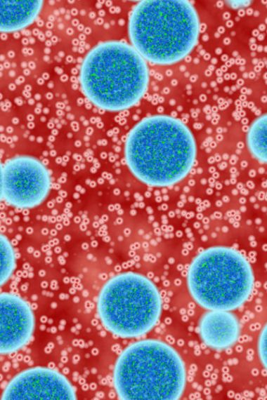 Abstract image of virus cells