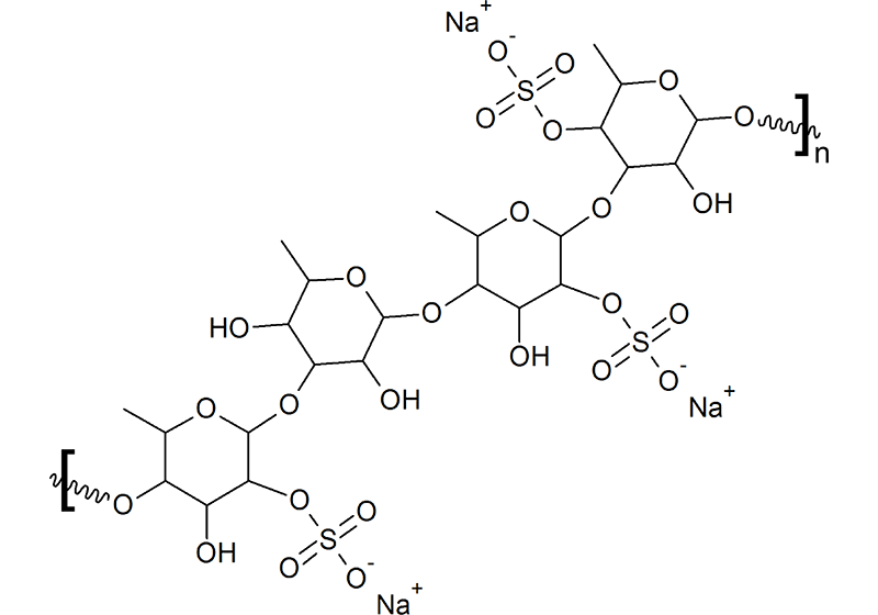 Fucus vesiculosus molecule branch