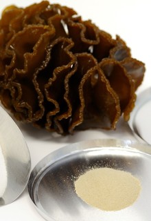 Wakame spore and fucoidan powder